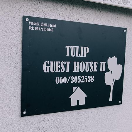 Tulip Guest House Ii. Palić Exterior foto